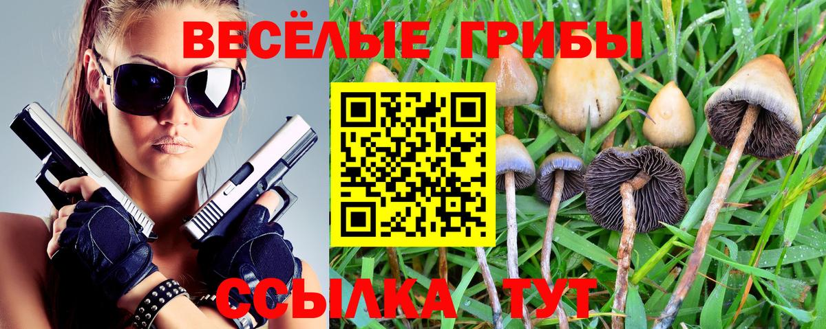 Псилоцибиновые грибы MAGIC MUSHROOMS  где можно купить   Зеленодольск  Вход с VPN 