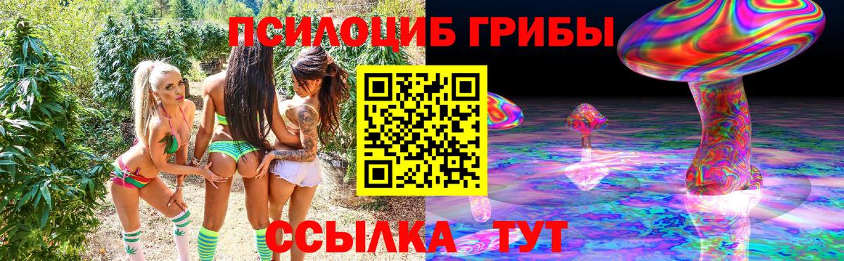 Псилоцибиновые грибы Psilocybe Зеленодольск